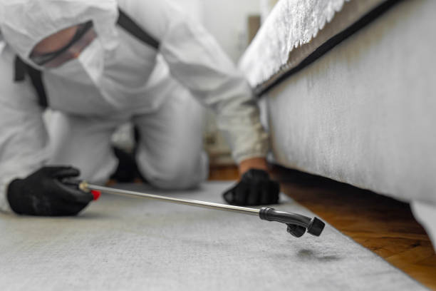 Professional Pest Control technician working in Murphy, MO