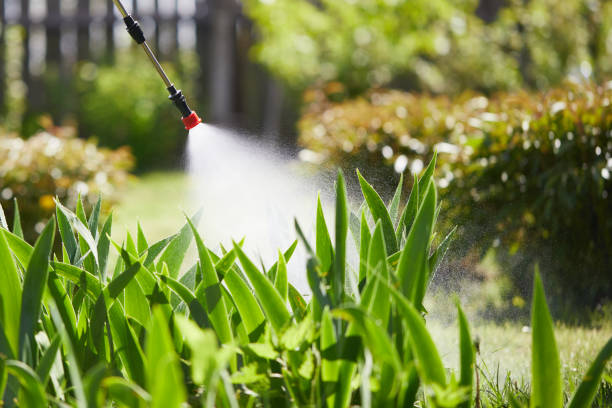 24/7 Emergency Pest Control experts in Murphy, MO