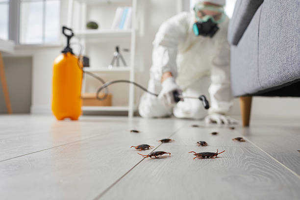 Affordable Pest Control solutions in Murphy, MO